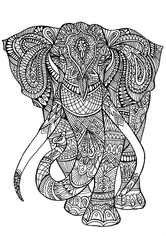elefante-indiano-para-colorir